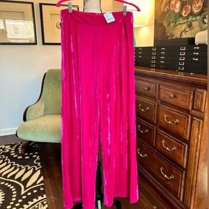 Free People fuchsia velvet pants - M